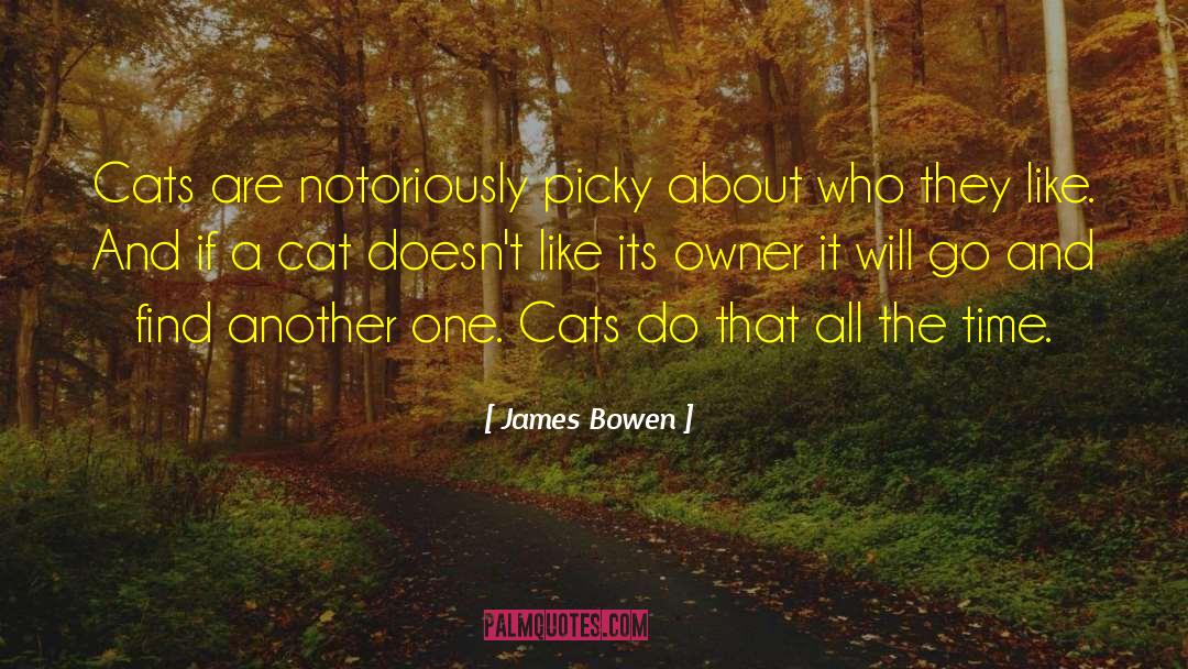 Bowen quotes by James Bowen