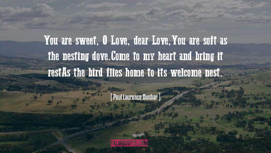 Bowerbirds Nest quotes by Paul Laurence Dunbar