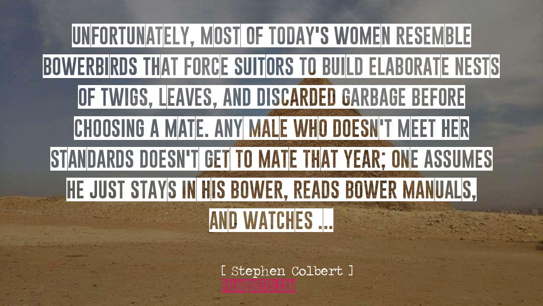 Bowerbirds Nest quotes by Stephen Colbert