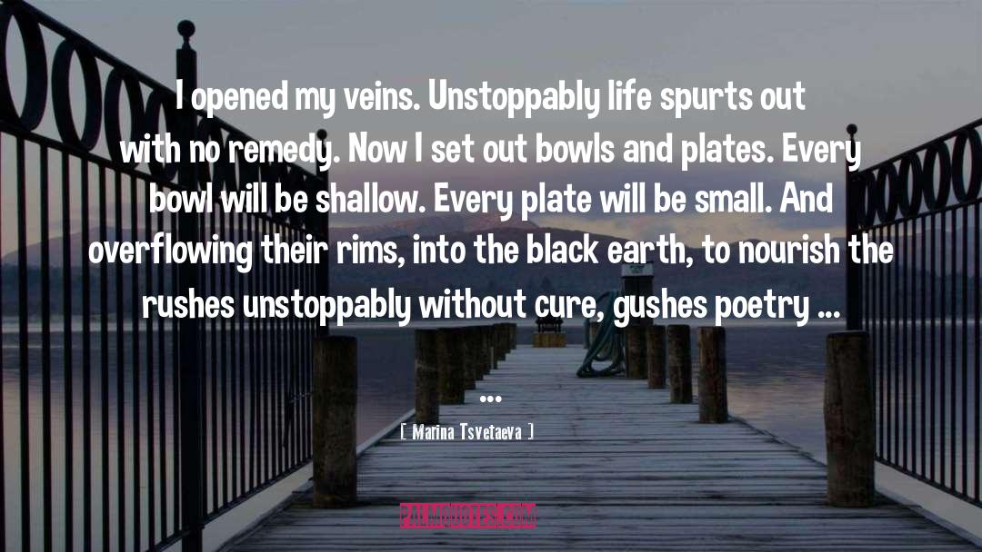 Bowl quotes by Marina Tsvetaeva