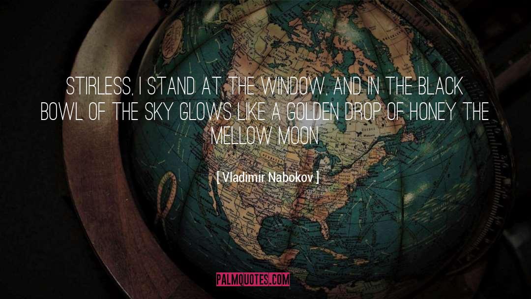 Bowl quotes by Vladimir Nabokov