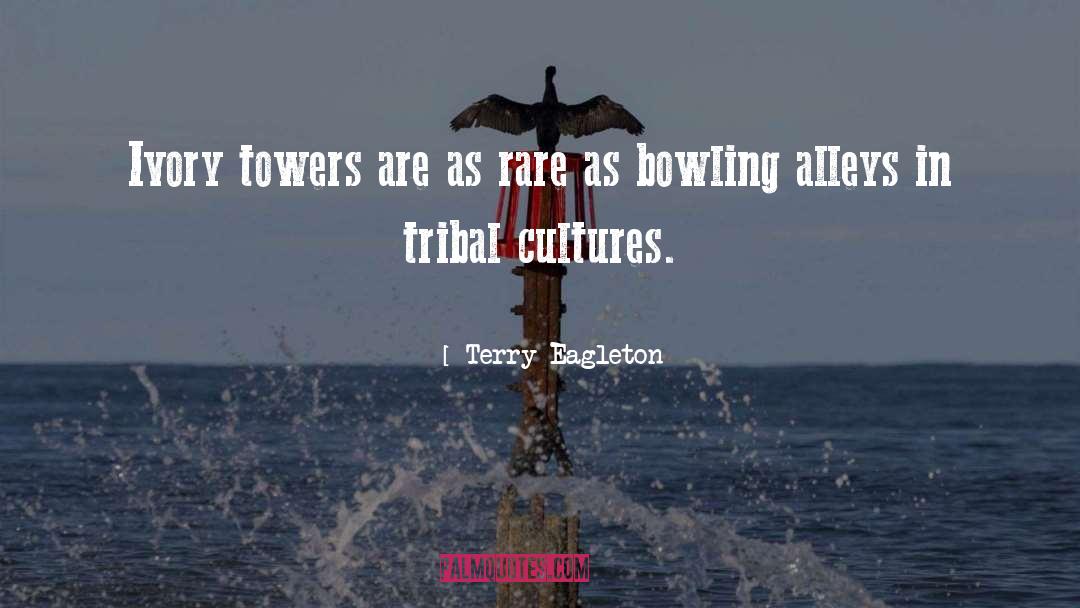 Bowling Alleys quotes by Terry Eagleton