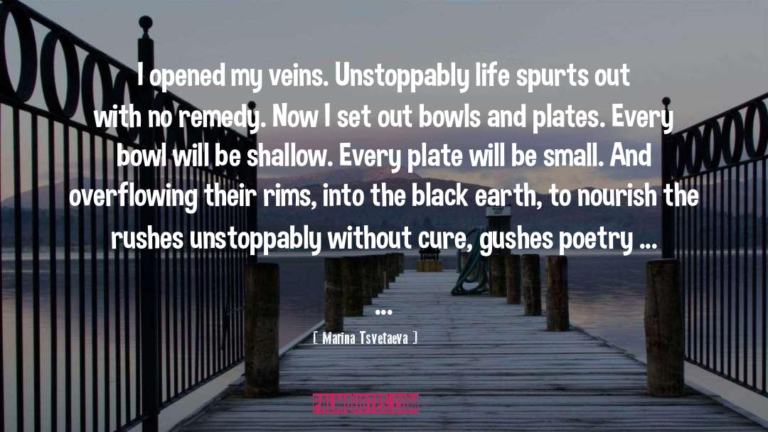 Bowls quotes by Marina Tsvetaeva