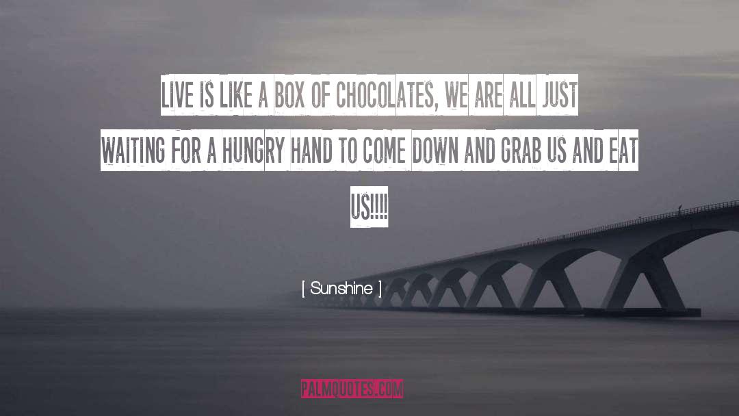 Box Of Chocolates quotes by Sunshine
