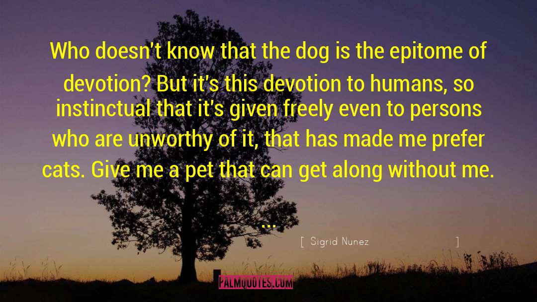 Boxer Dog quotes by Sigrid Nunez
