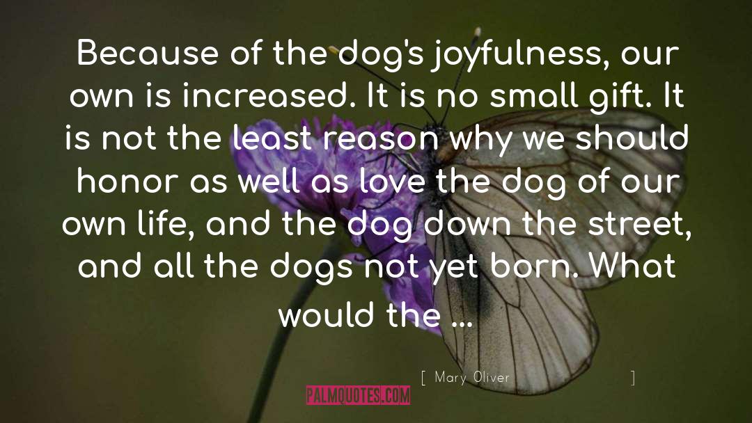Boxer Dog quotes by Mary Oliver