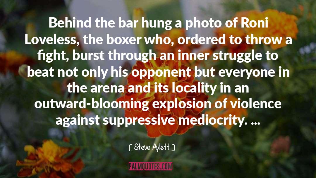 Boxer quotes by Steve Aylett