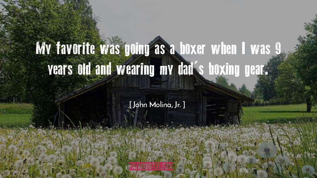 Boxer quotes by John Molina, Jr.