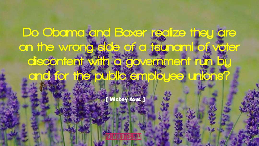 Boxer quotes by Mickey Kaus