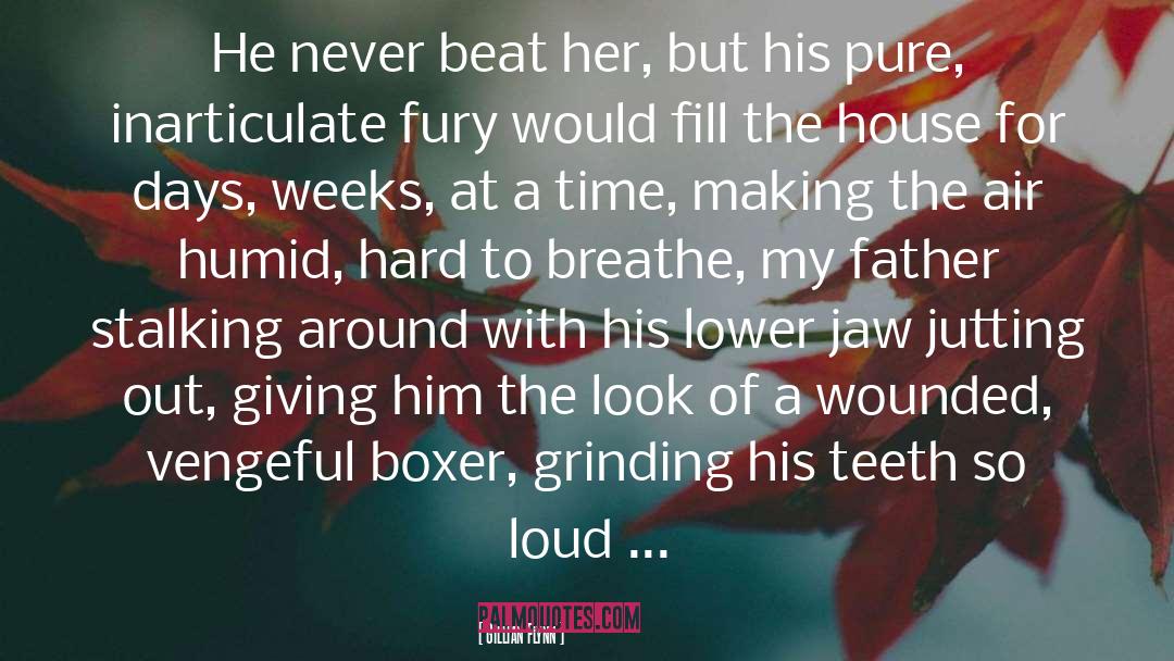 Boxer quotes by Gillian Flynn