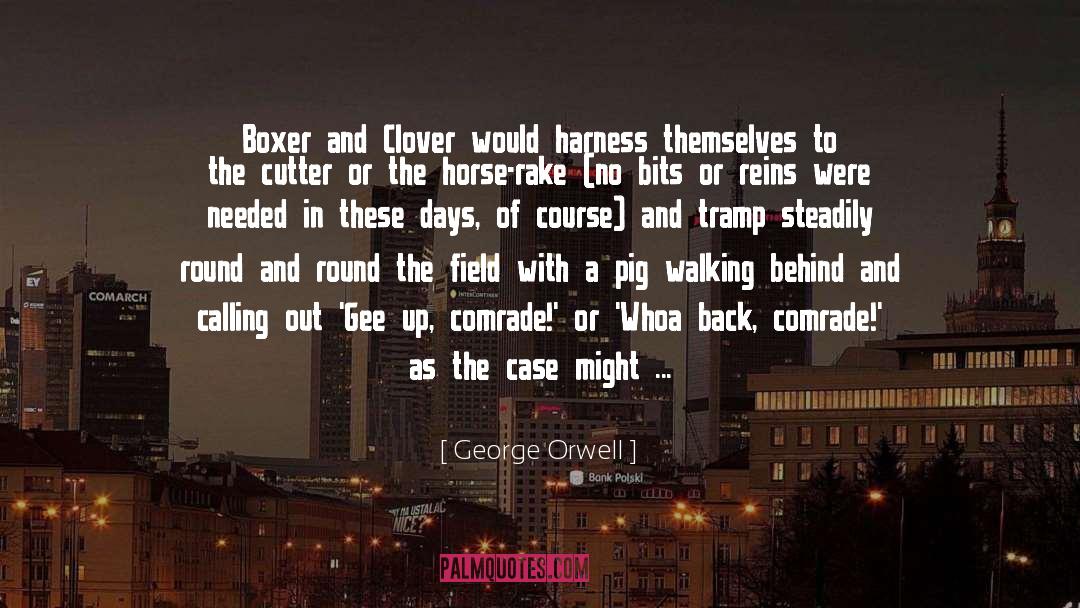 Boxer quotes by George Orwell