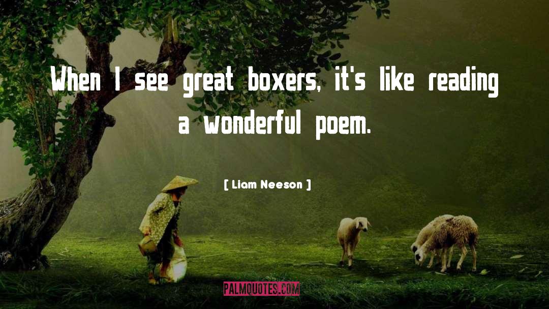 Boxers quotes by Liam Neeson