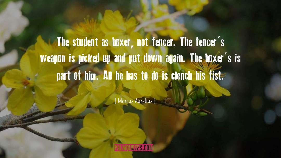 Boxers quotes by Marcus Aurelius