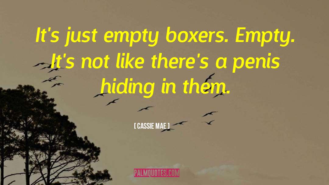 Boxers quotes by Cassie Mae