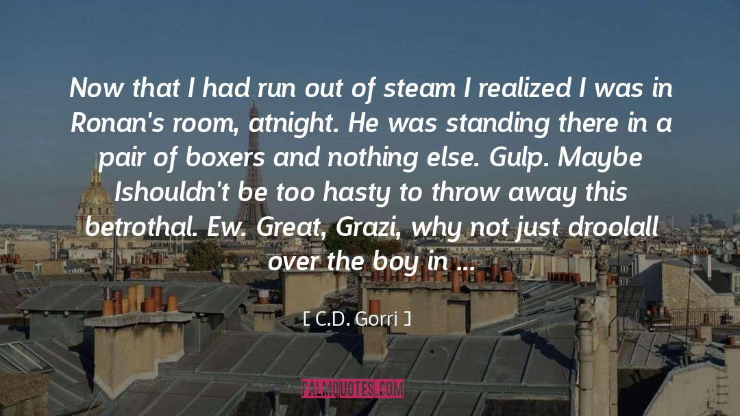 Boxers quotes by C.D. Gorri