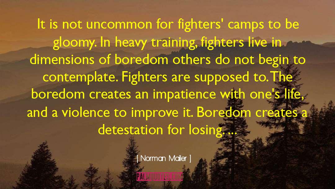 Boxing Champions quotes by Norman Mailer