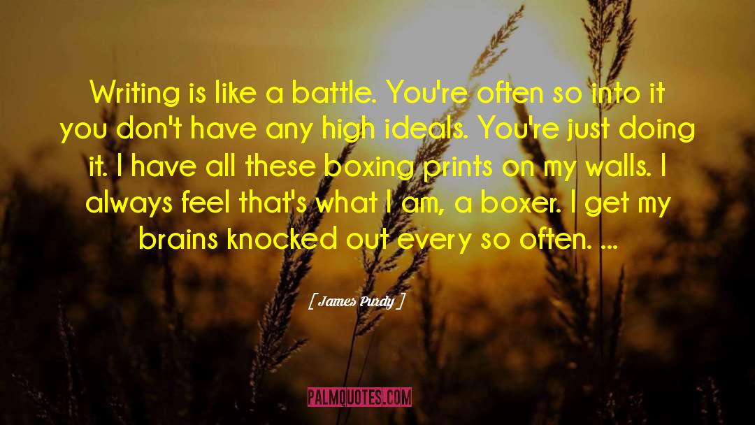 Boxing Champions quotes by James Purdy