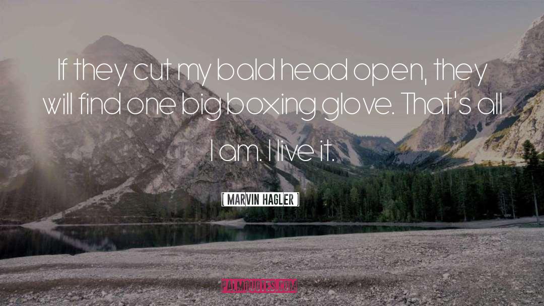Boxing Glove quotes by Marvin Hagler