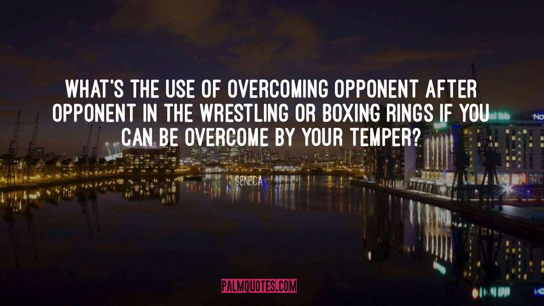 Boxing Gloves quotes by Seneca