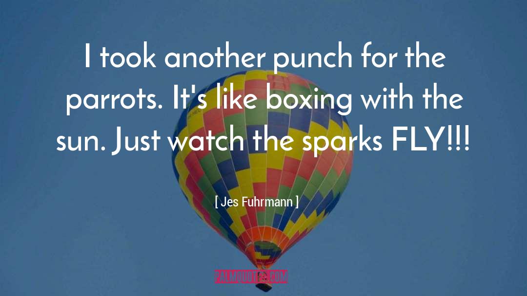 Boxing Punch quotes by Jes Fuhrmann