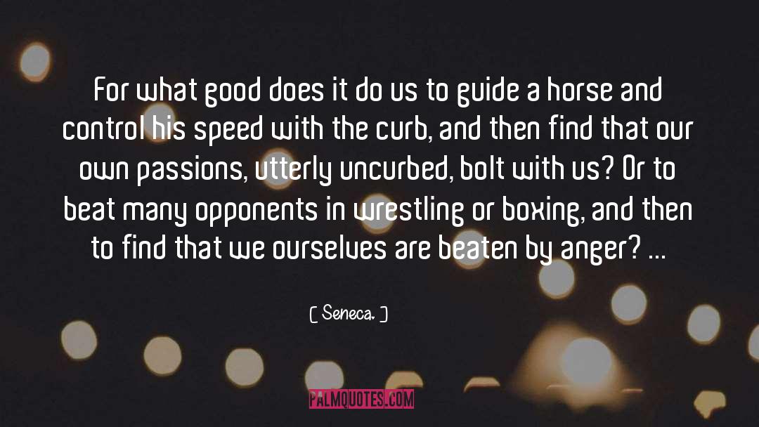 Boxing quotes by Seneca.