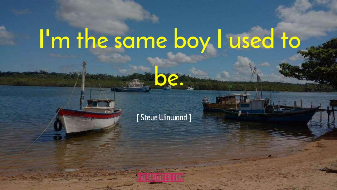 Boy Belieber quotes by Steve Winwood