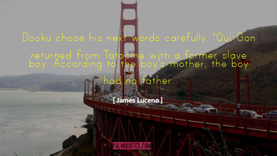Boy Fiction quotes by James Luceno