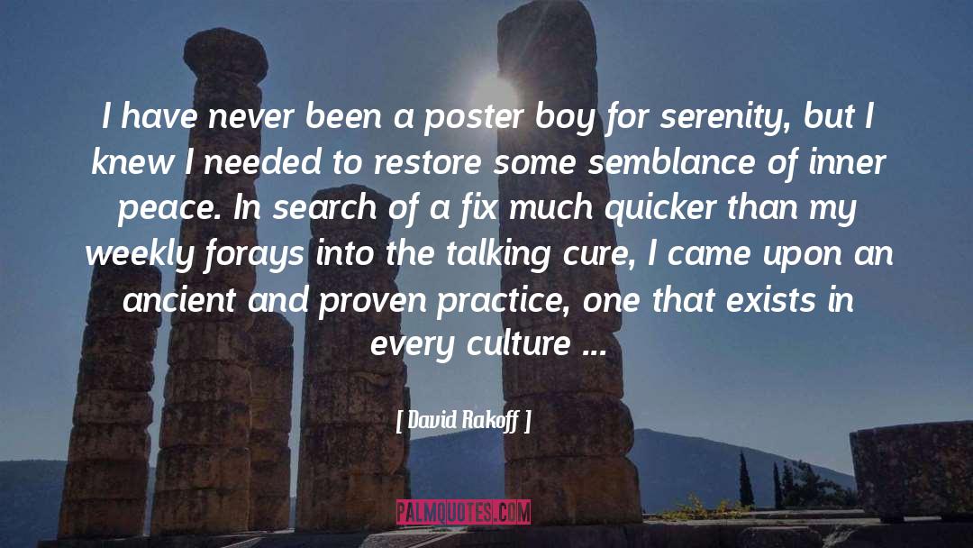 Boy From The Streets quotes by David Rakoff