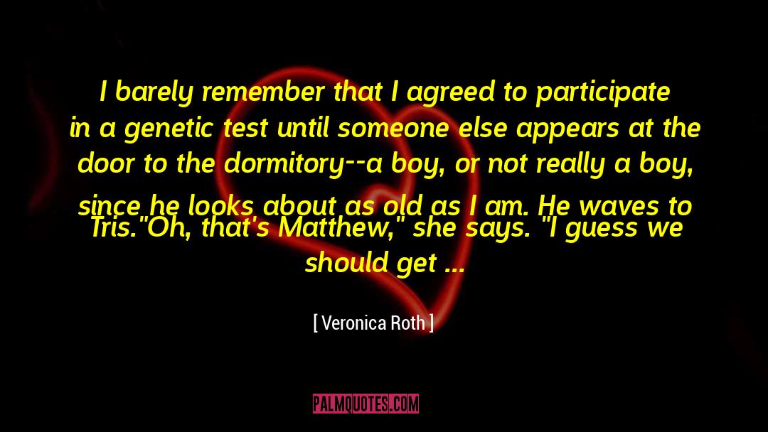 Boy Or Girl quotes by Veronica Roth