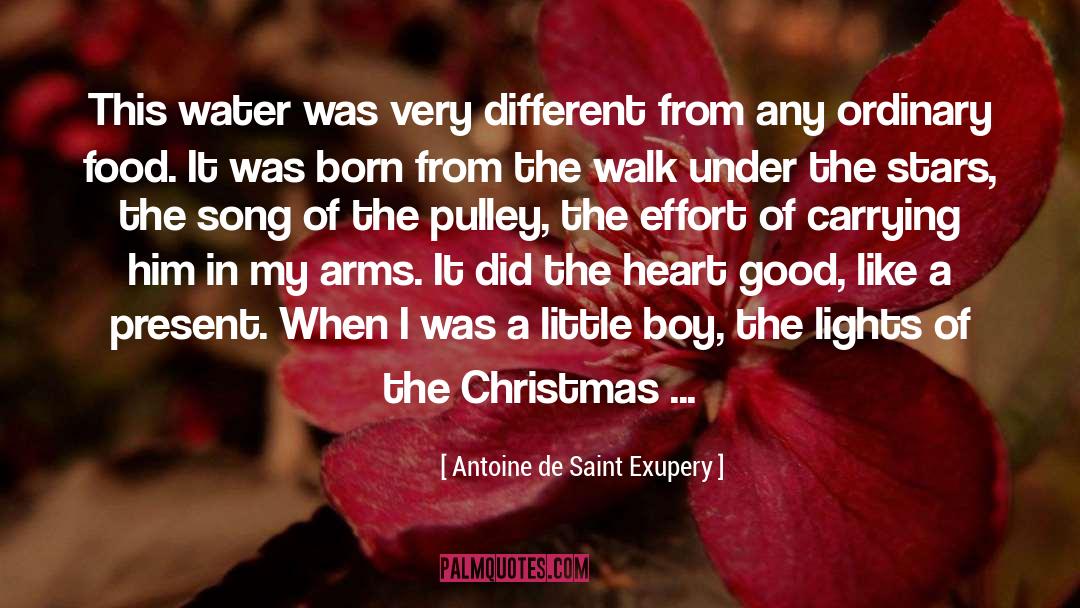 Boy quotes by Antoine De Saint Exupery