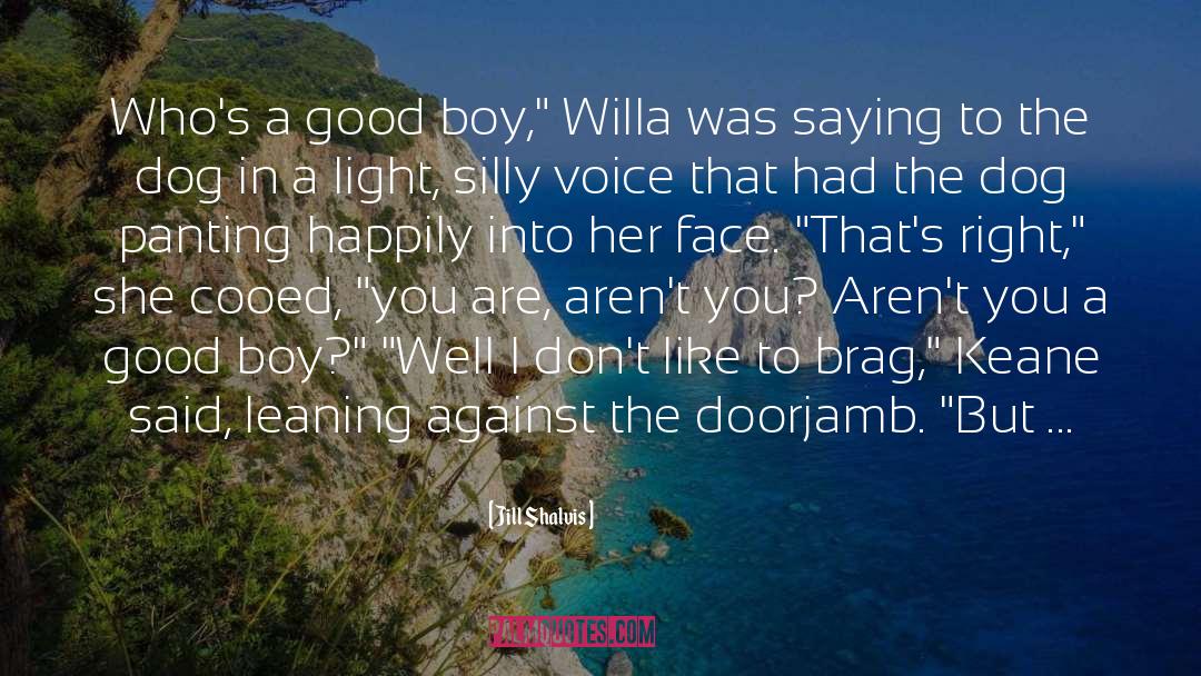 Boy Soldier quotes by Jill Shalvis