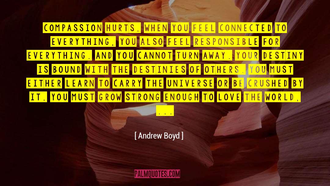 Boyd quotes by Andrew Boyd