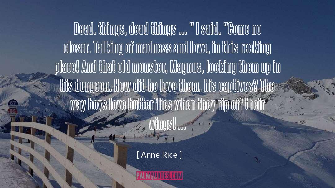 Boys And Their Toys quotes by Anne Rice