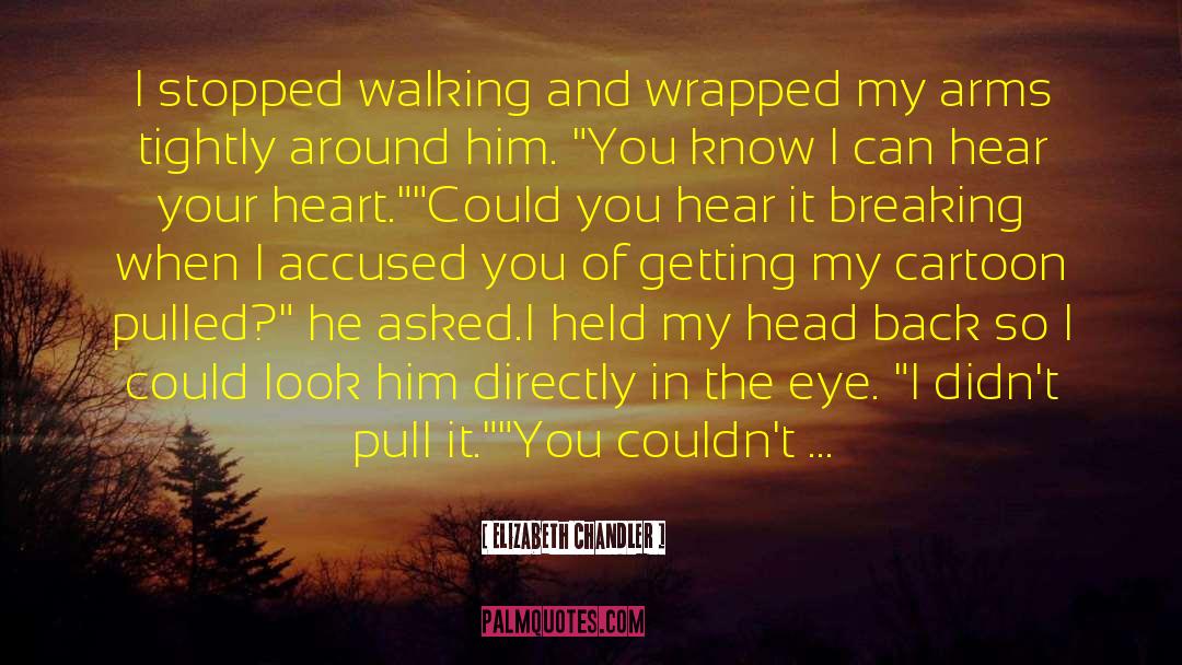 Boys Breaking Your Heart quotes by Elizabeth Chandler