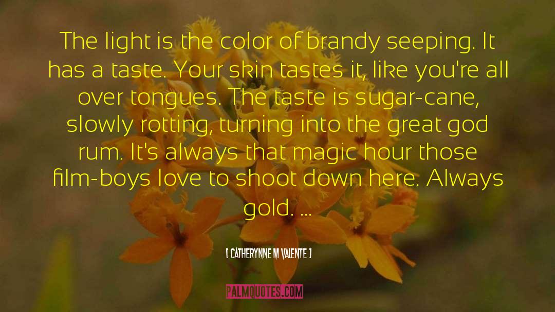 Boys Love quotes by Catherynne M Valente