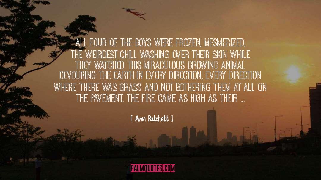 Boys quotes by Ann Patchett