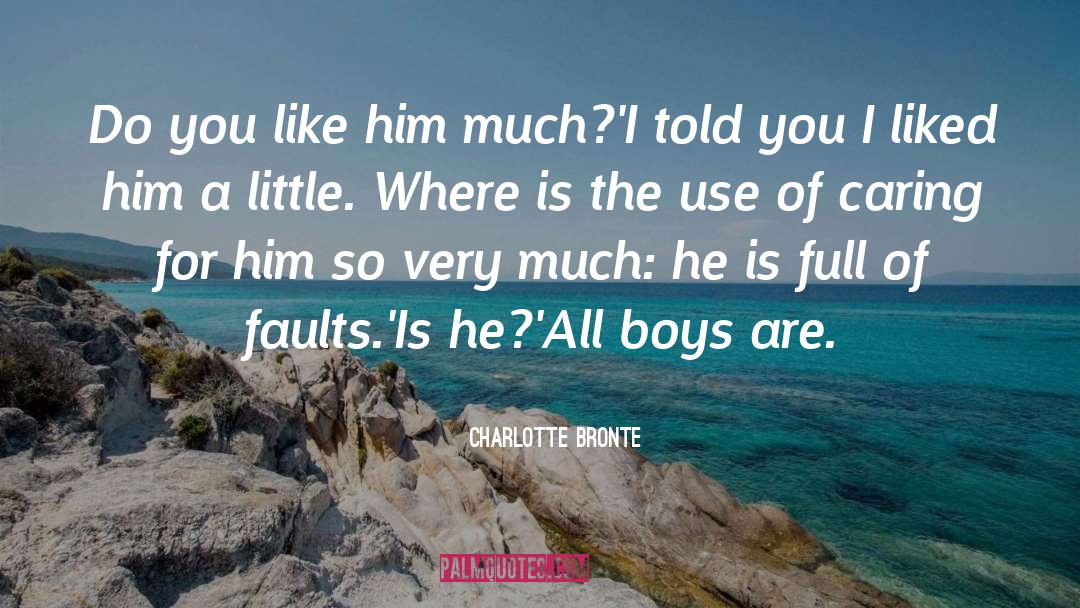 Boys quotes by Charlotte Bronte