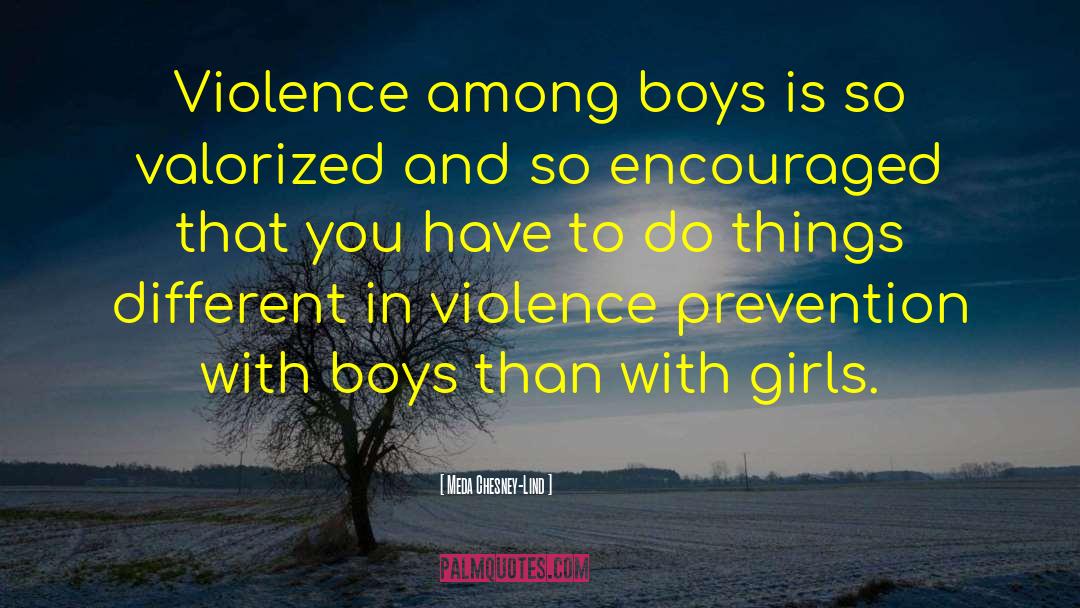 Boys Witt quotes by Meda Chesney-Lind