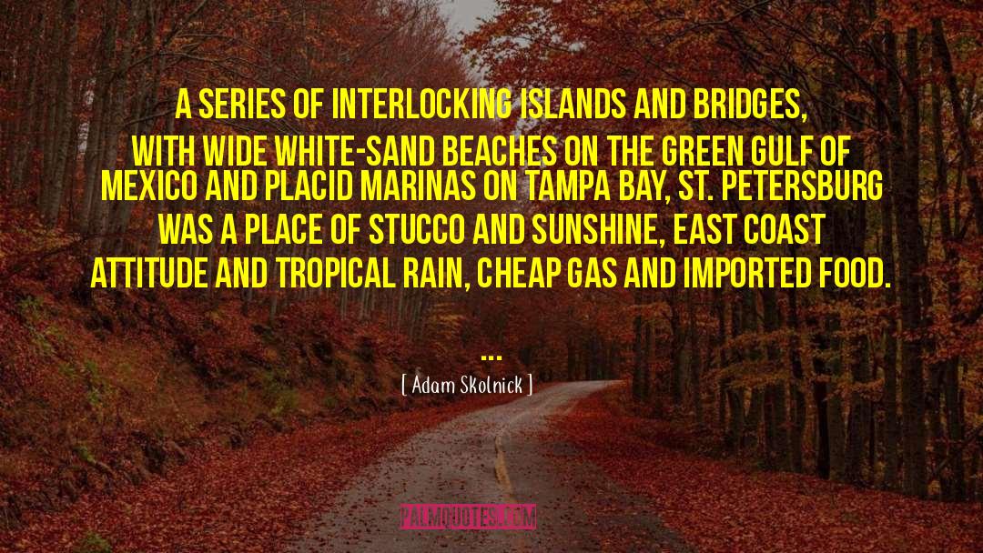 Bp Gulf Of Mexico Oil Spill quotes by Adam Skolnick