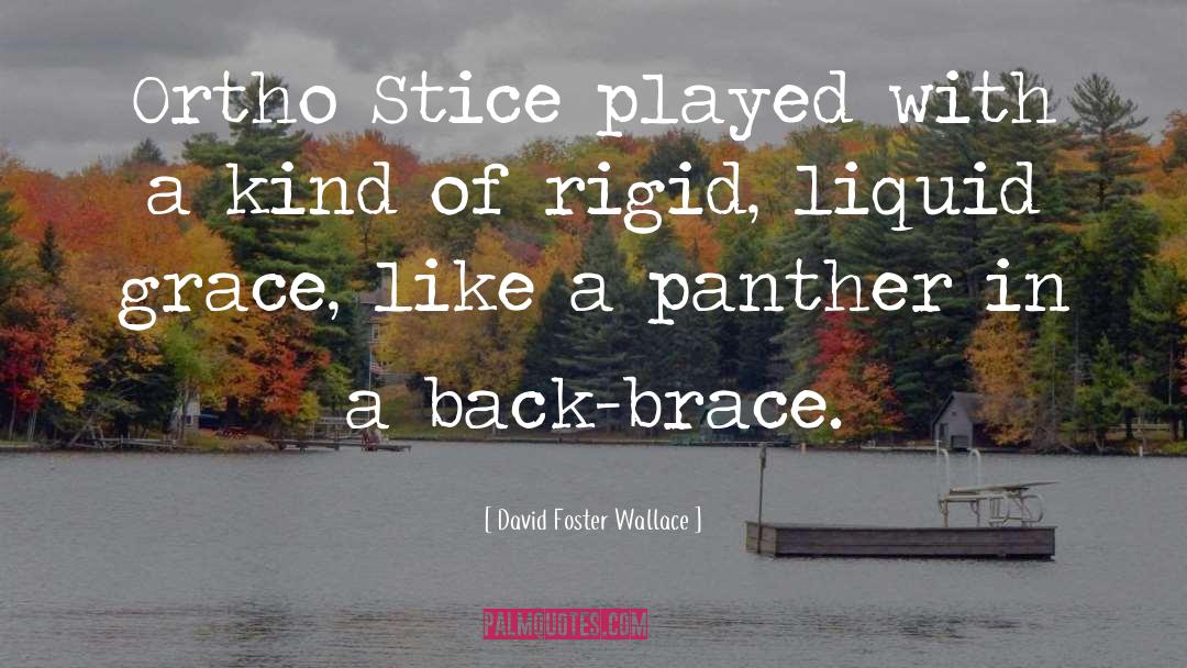 Brace quotes by David Foster Wallace
