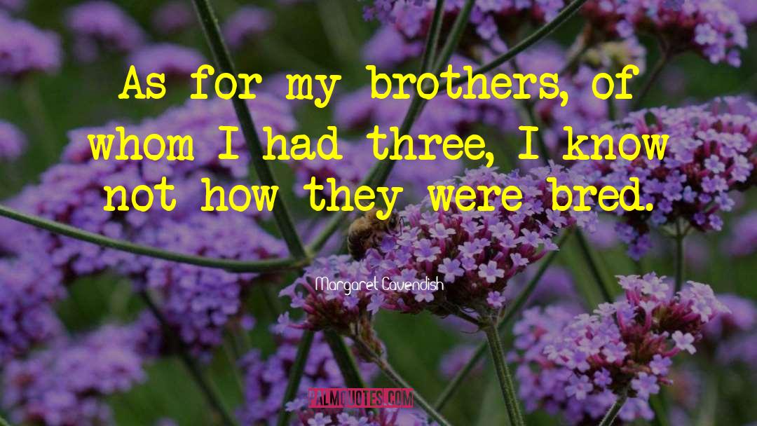 Braddell Brothers quotes by Margaret Cavendish