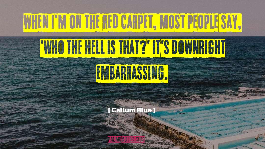Bradstone Carpet quotes by Callum Blue