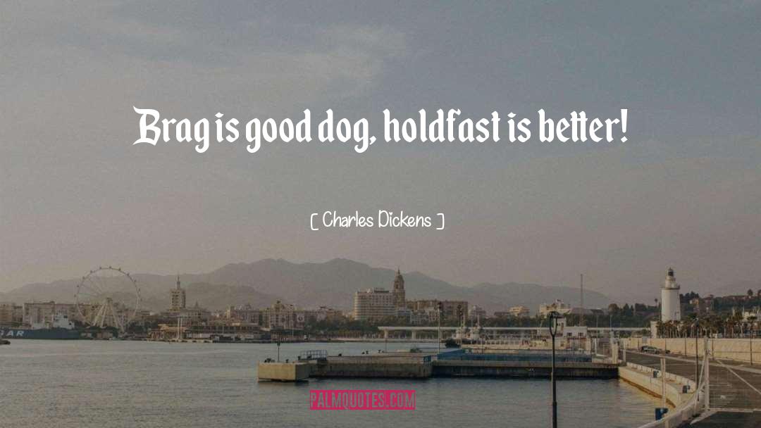 Brag quotes by Charles Dickens