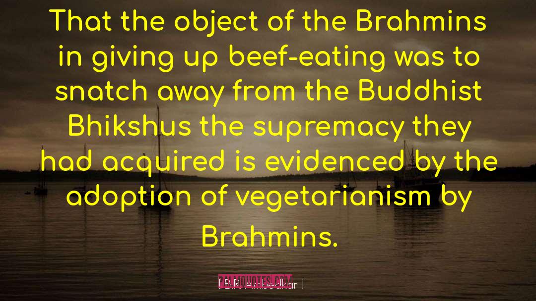 Brahmins quotes by B.R. Ambedkar