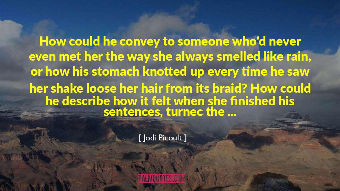 Braids quotes by Jodi Picoult
