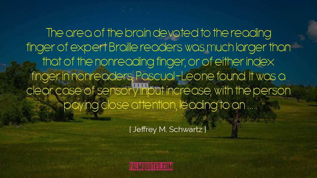 Braille quotes by Jeffrey M. Schwartz