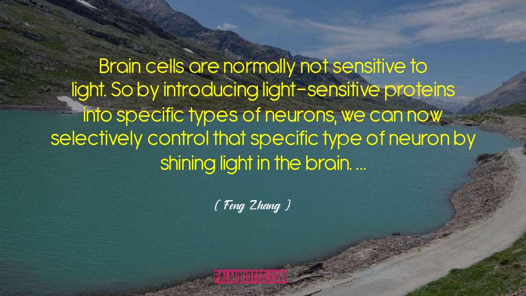Brain Anatomy quotes by Feng Zhang