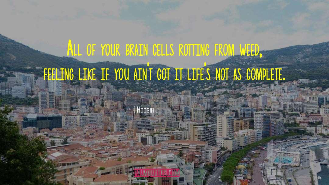 Brain Cells quotes by Hopsin