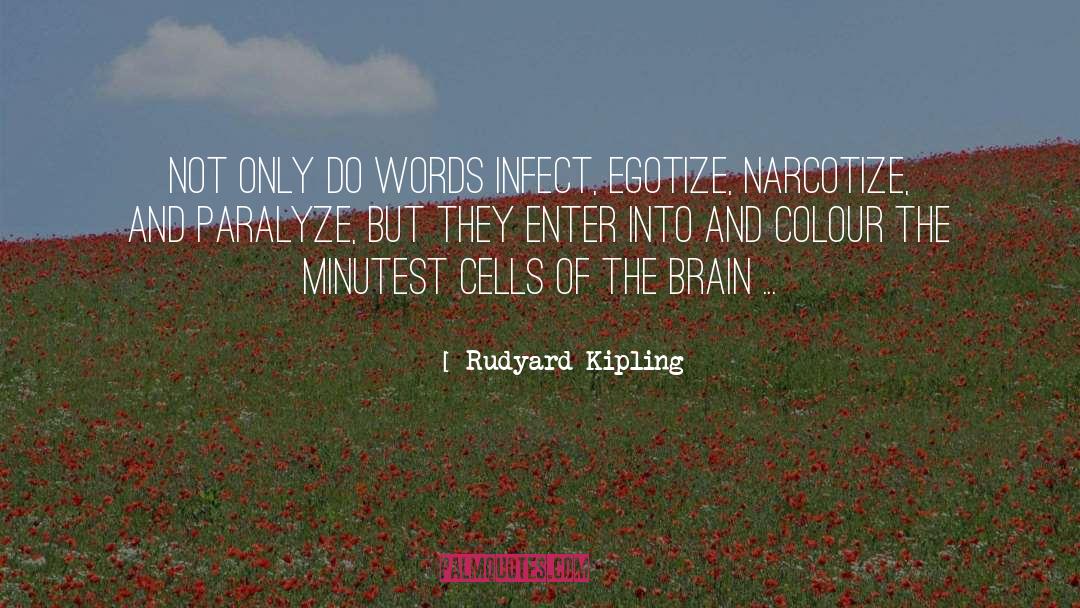 Brain Cells quotes by Rudyard Kipling