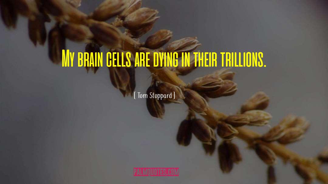 Brain Cells quotes by Tom Stoppard